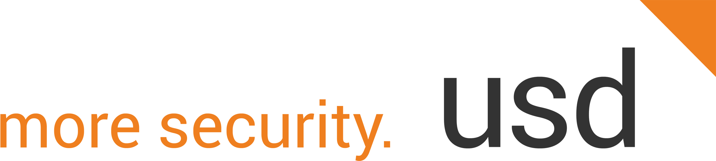 Logo - more security-usd