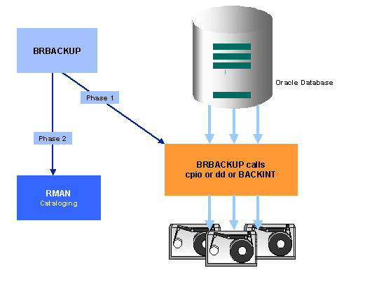This graphic is explained in the accompanying text