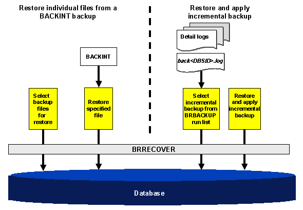 This graphic is explained in the accompanying text