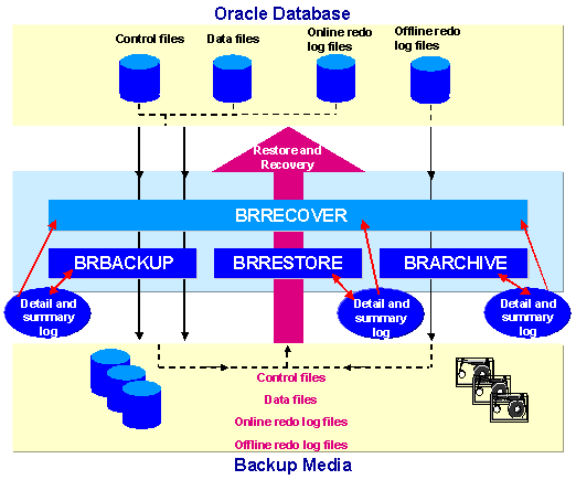 This graphic is explained in the accompanying text