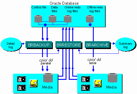 This graphic is explained in the accompanying text