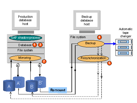This graphic is explained in the accompanying text