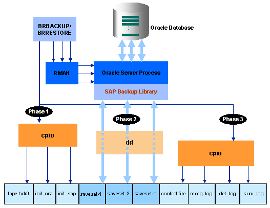 This graphic is explained in the accompanying text