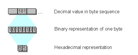 This graphic is explained in the accompanying text