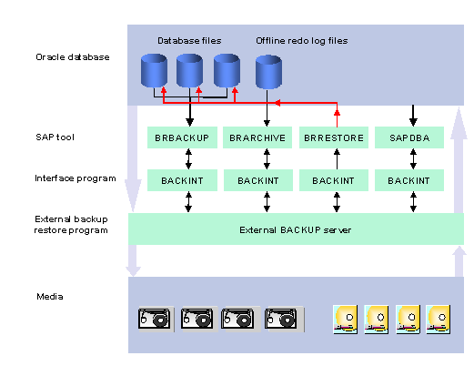 This graphic is explained in the accompanying text