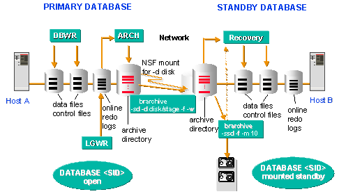 This graphic is explained in the accompanying text