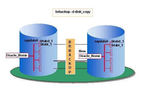 This graphic is explained in the accompanying text