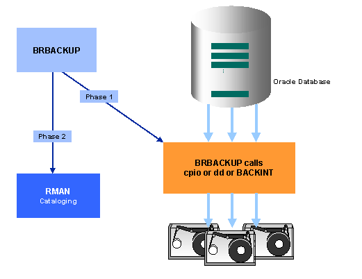 This graphic is explained in the accompanying text