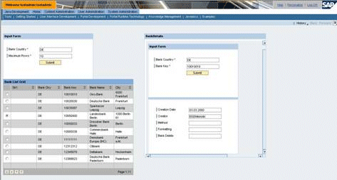 Runtime Nested iView