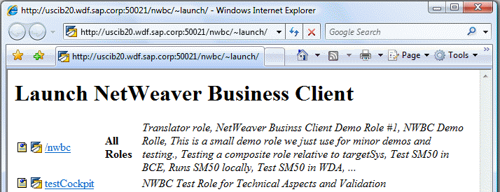 Example of transaction NWBC