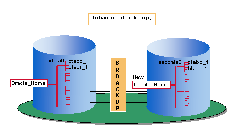 This graphic is explained in the accompanying text