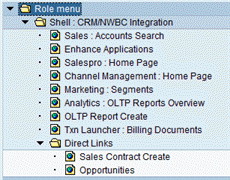 Example CRM role