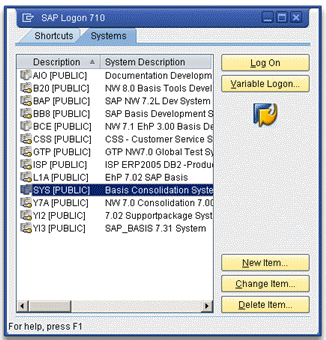 Example of SAP Logon