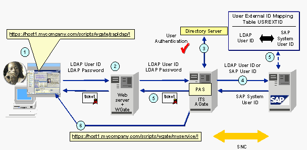 This graphic is explained in the accompanying text