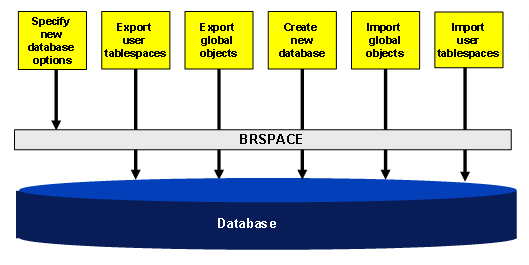 This graphic is explained in the accompanying text