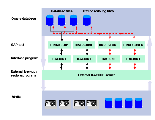 This graphic is explained in the accompanying text