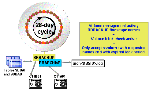 This graphic is explained in the accompanying text