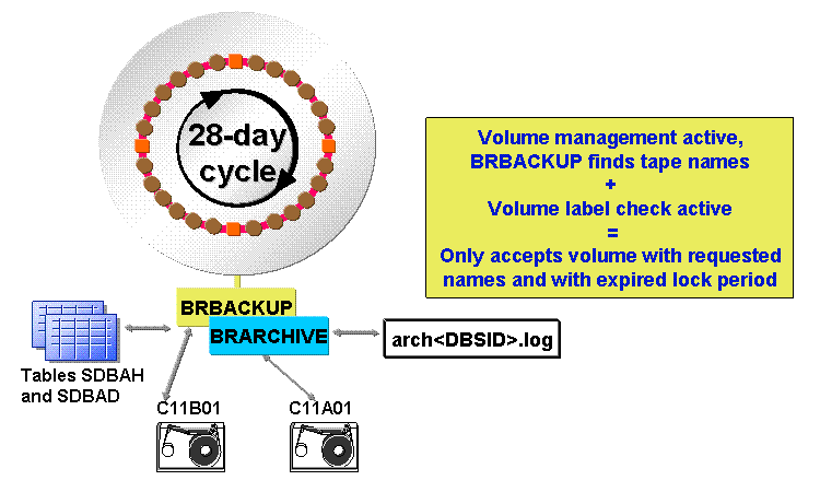 This graphic is explained in the accompanying text. This graphic is explained in the accompanying text.