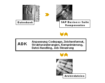 Die Abbildung wird im Begleittext erläutert.
