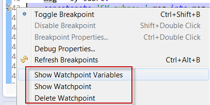 Watchpoint-related actions