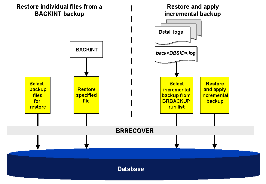This graphic is explained in the accompanying text.