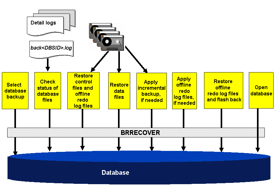 This graphic is explained in the accompanying text.