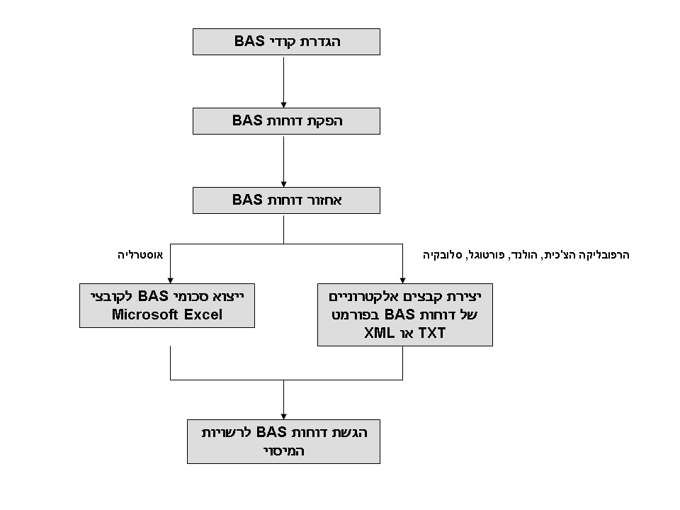 גרפיקה זו מוסברת בטקסט המלווה.