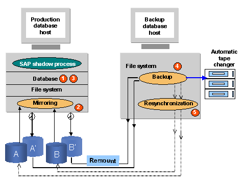 This graphic is explained in the accompanying text