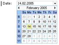 Date Picker