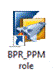 BPR_PPM Role