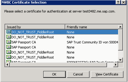 Example of certificate selection dialog without hotfix